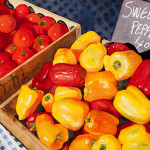 tomatoes, peppers, watercolor